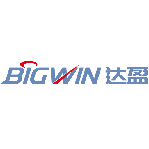 BIG WIN logo